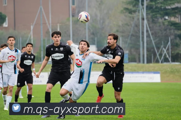 爱游戏体育平台生态图