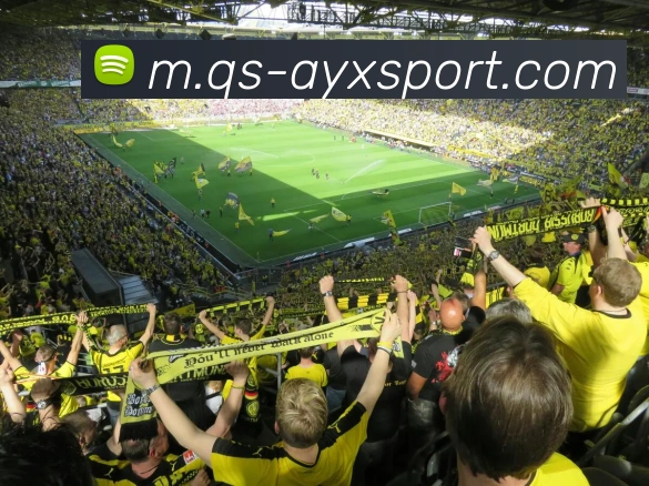 爱游戏体育全站App